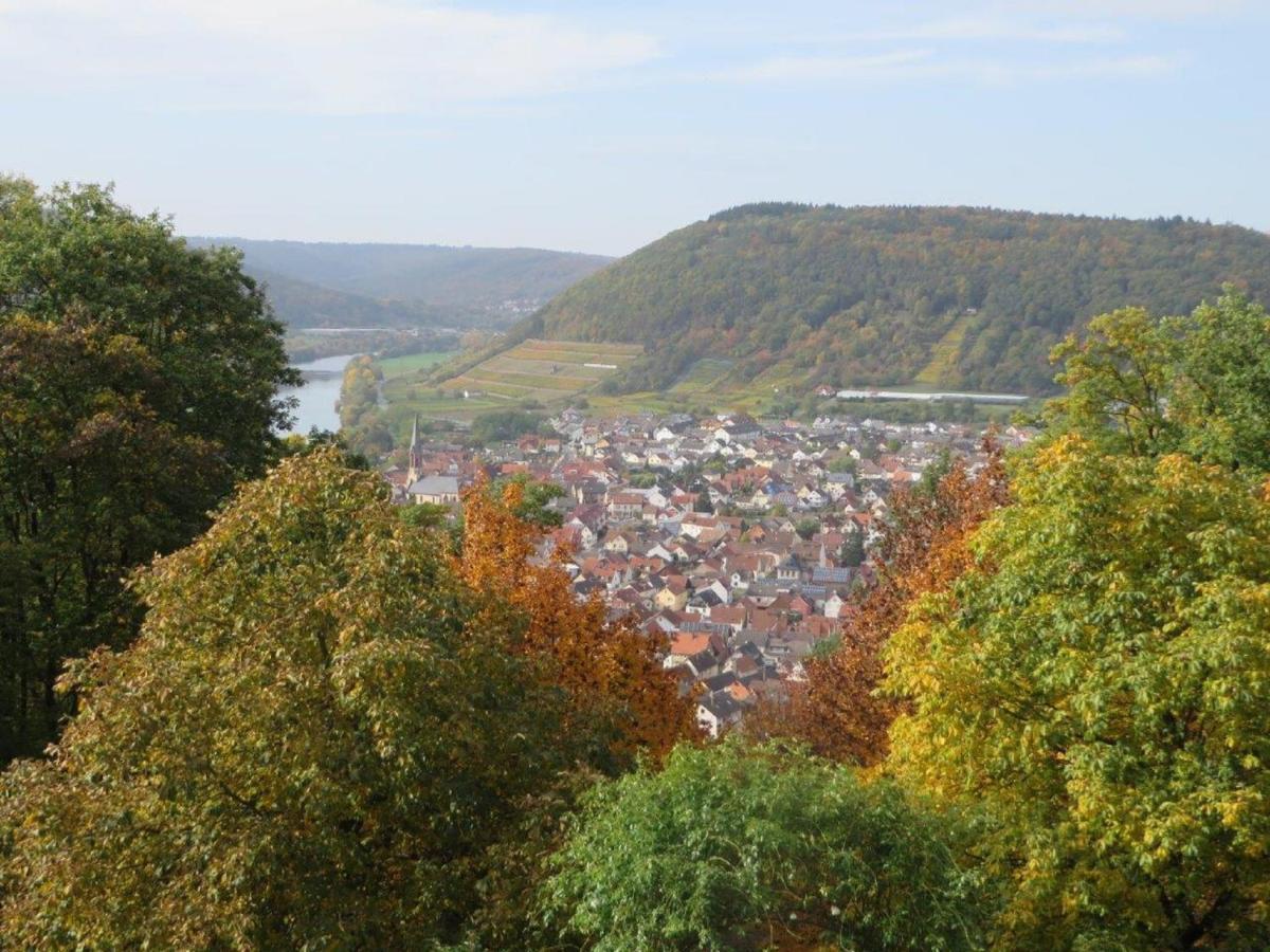 Ferienwohnung Familie Buchner Großheubach المظهر الخارجي الصورة